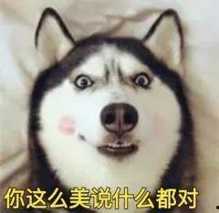 要哈士奇大腚娱乐吃瓜酱