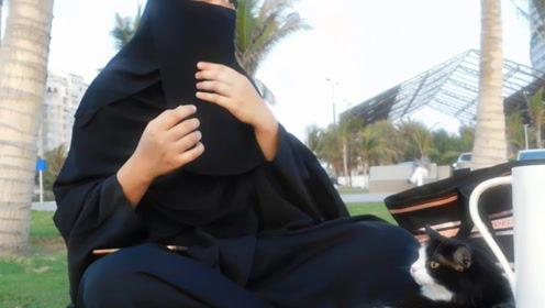 娱乐搞笑吃瓜君